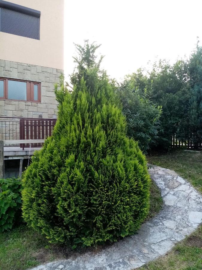 Guesthouse Smiljanic Slavkovica Exterior photo