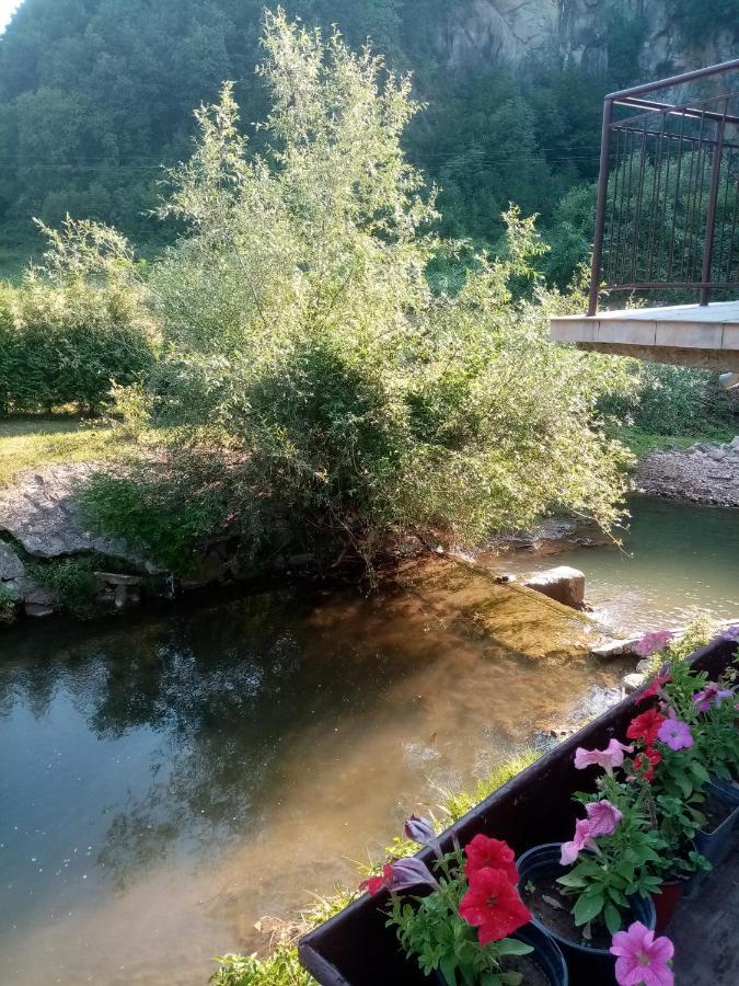 Guesthouse Smiljanic Slavkovica Exterior photo