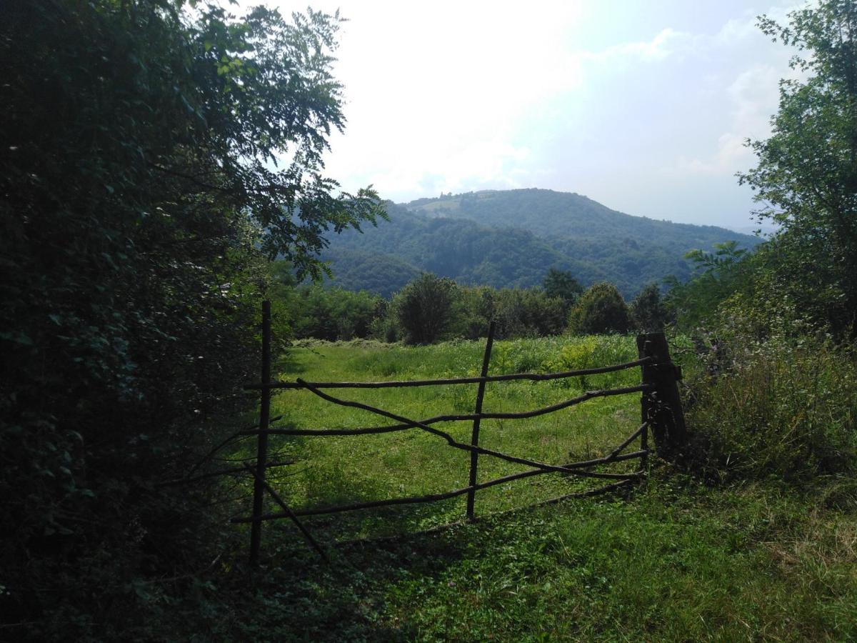 Guesthouse Smiljanic Slavkovica Exterior photo