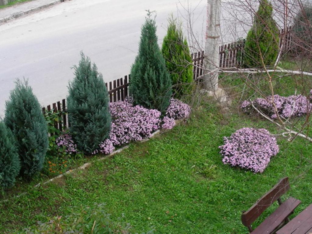 Guesthouse Smiljanic Slavkovica Exterior photo